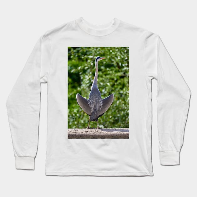 Hesitant Heron Long Sleeve T-Shirt by mbangert